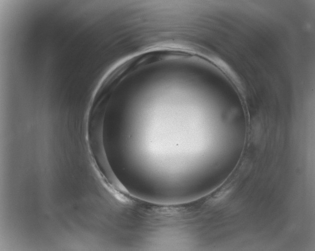 X0000070390862200606091149