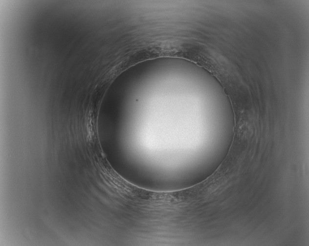 X0000070390866200606091149