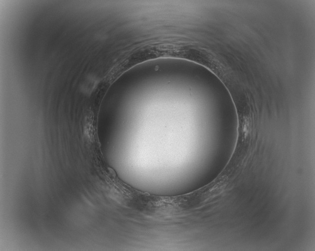 X0000070390867200606091149