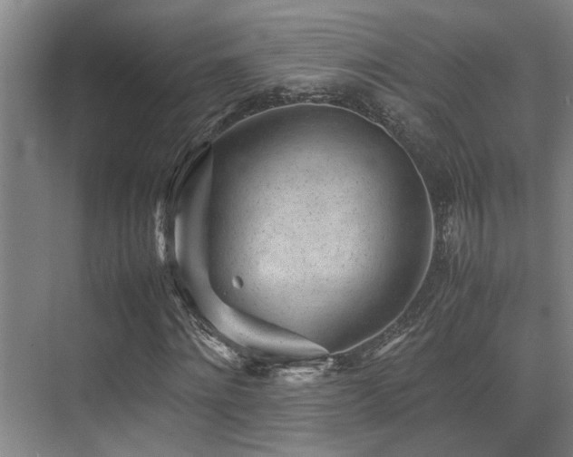 X0000070390868200606091149