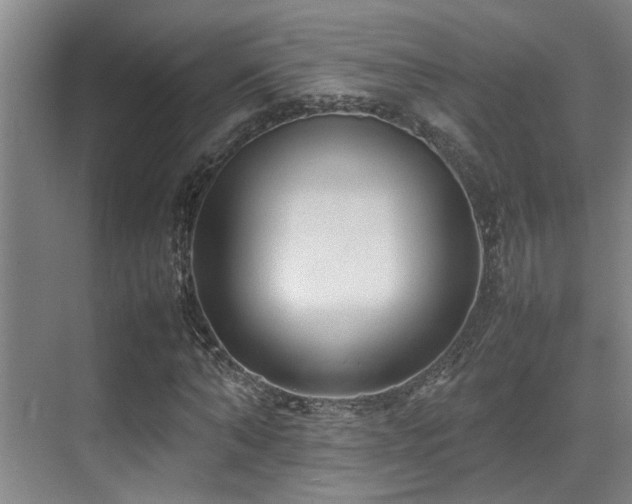 X0000070390870200606091149