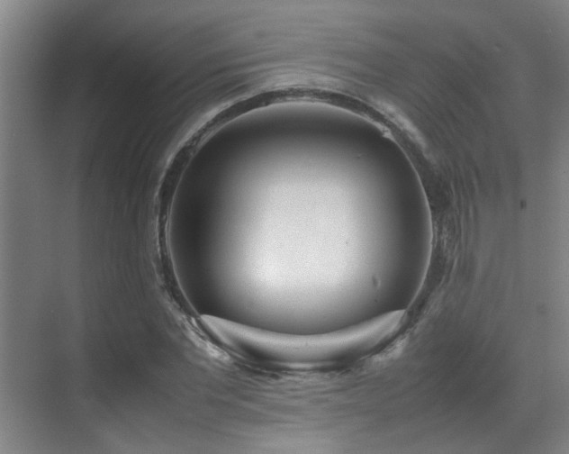 X0000070390877200606091148