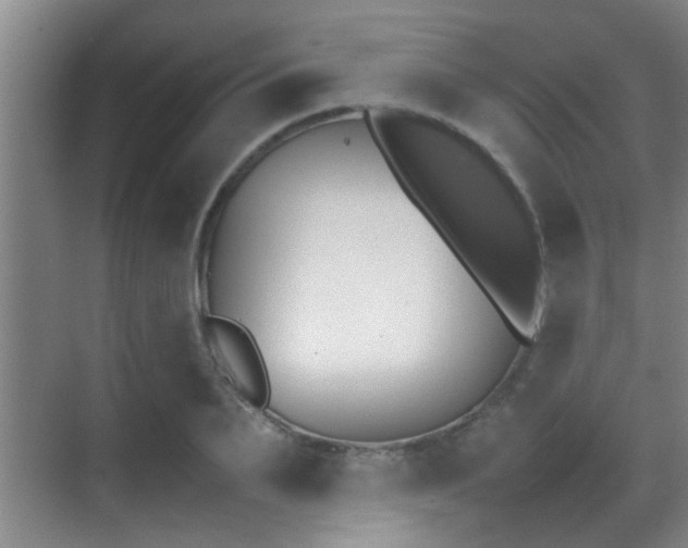 X0000070390887200606091148