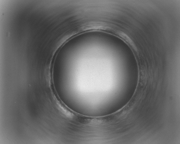 X0000070390890200606091148