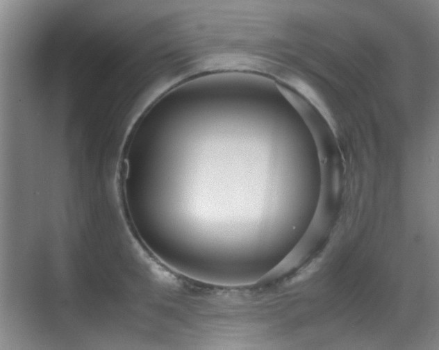 X0000070390901200606091148