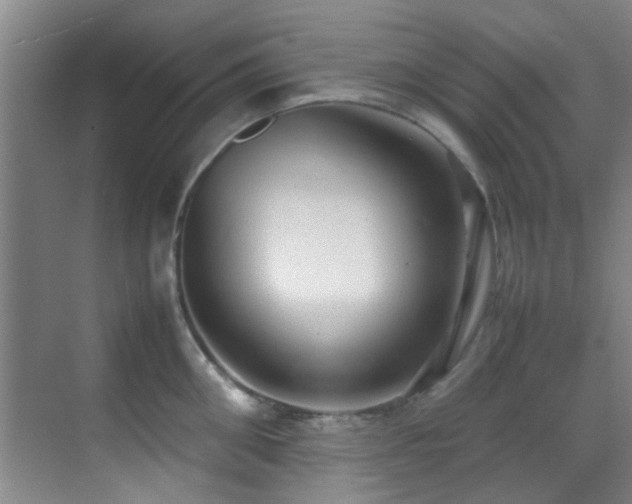 X0000070390906200606091148