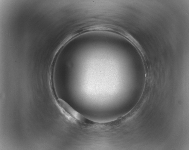 X0000070390909200606091148