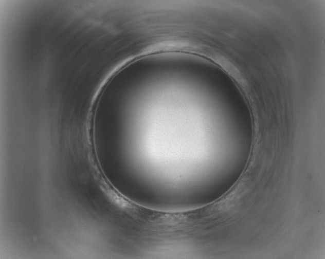 X0000070390912200606091148