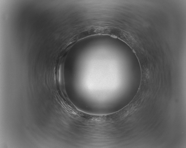 X0000070390914200606091147