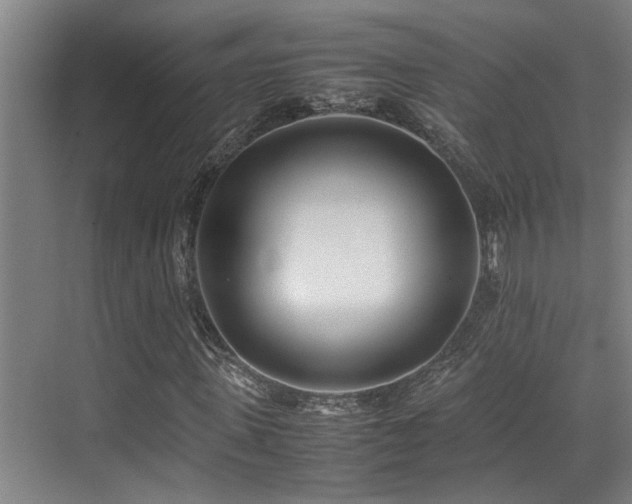 X0000070390915200606091147
