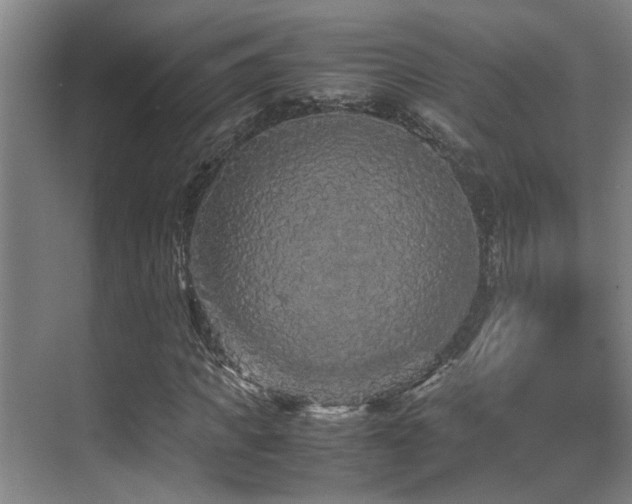 X0000070390917200606091147