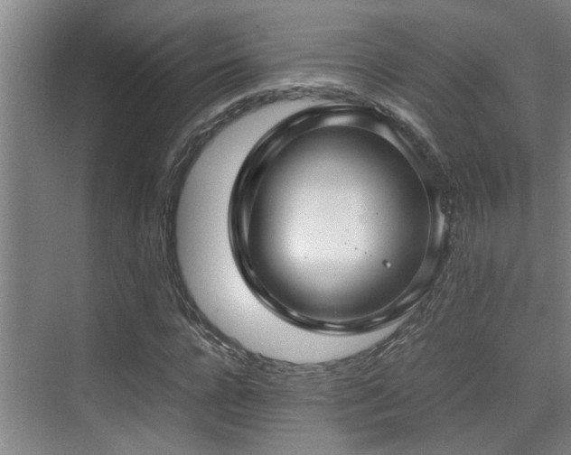 X0000070390920200606091147