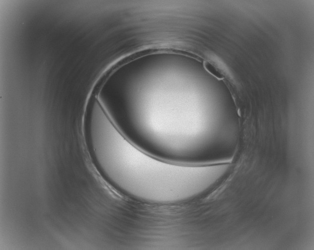 X0000070390932200606091147