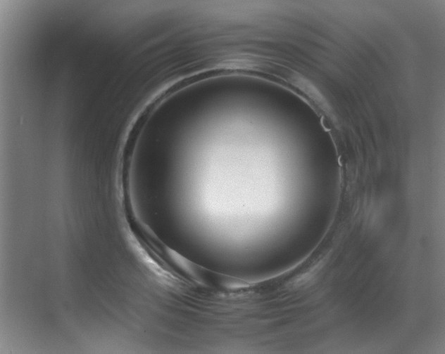 X0000070390939200606091148