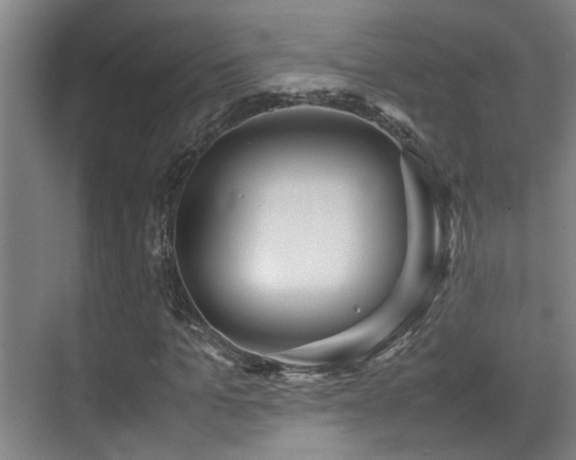 X0000070390965200606091147