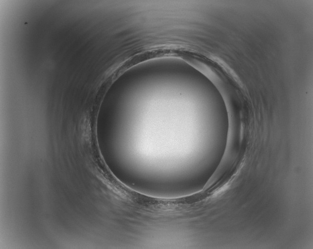 X0000070390969200606091147