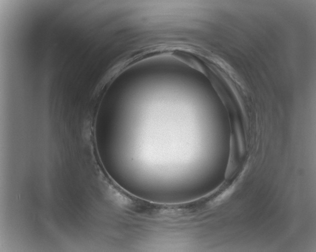 X0000070390985200606091147