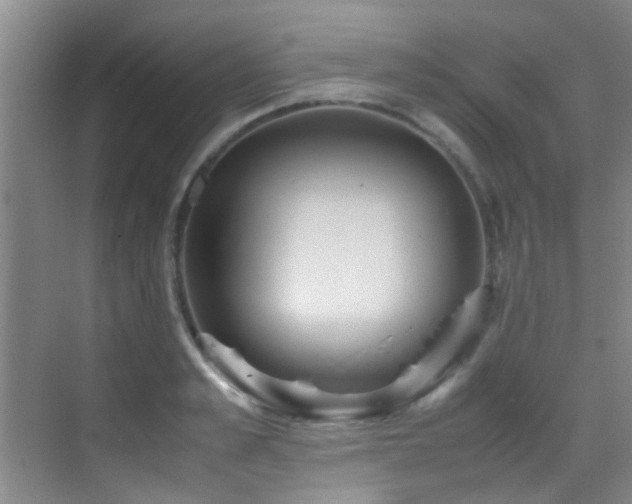 X0000070390989200606091147