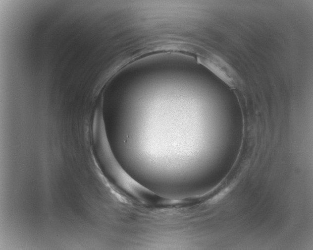 X0000070390993200606091147