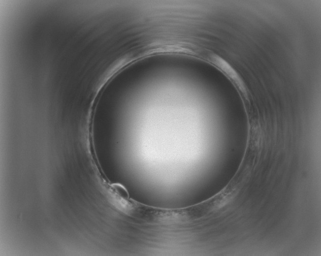 X0000070391002200606091146