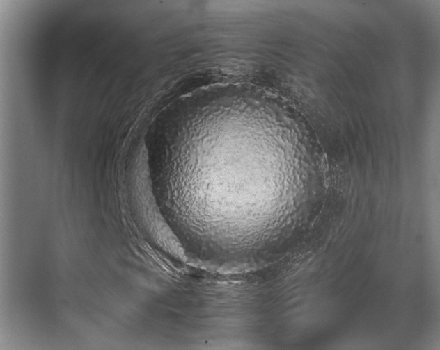 X0000070391009200606091145