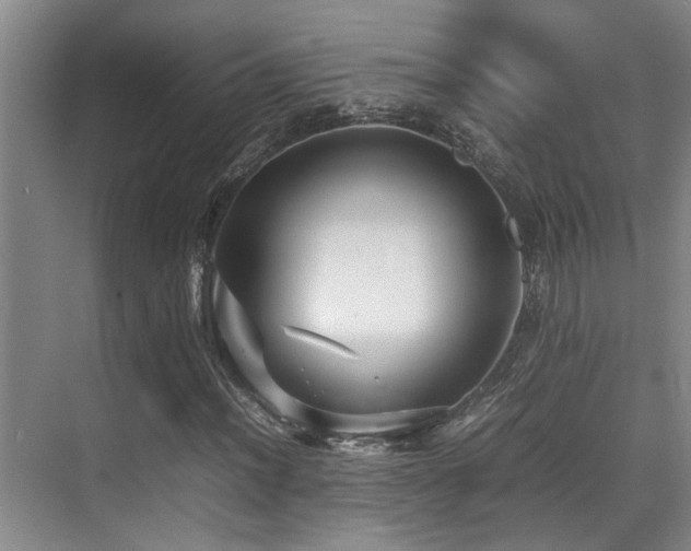 X0000070391012200606091145