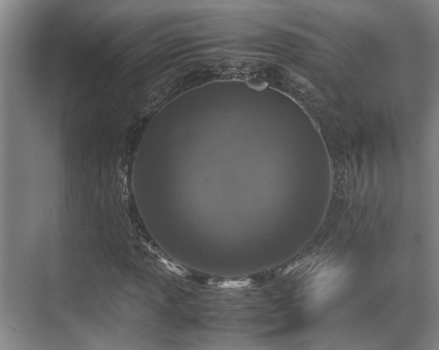 X0000070391013200606091146