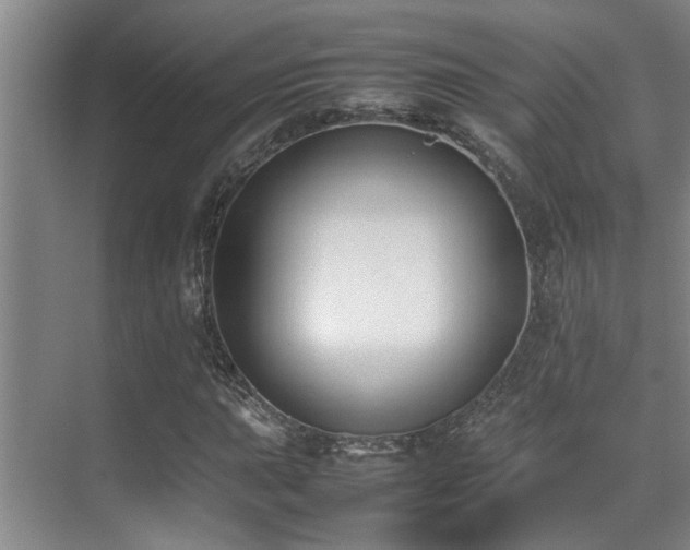 X0000070391015200606091146