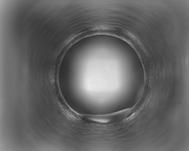 X0000070391017200606091146