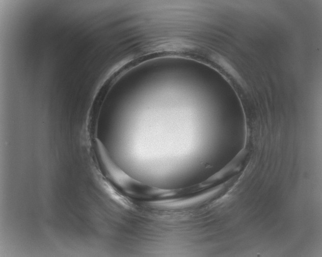 X0000070391026200606091146
