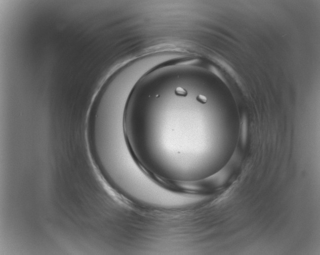 X0000070391034200606091146
