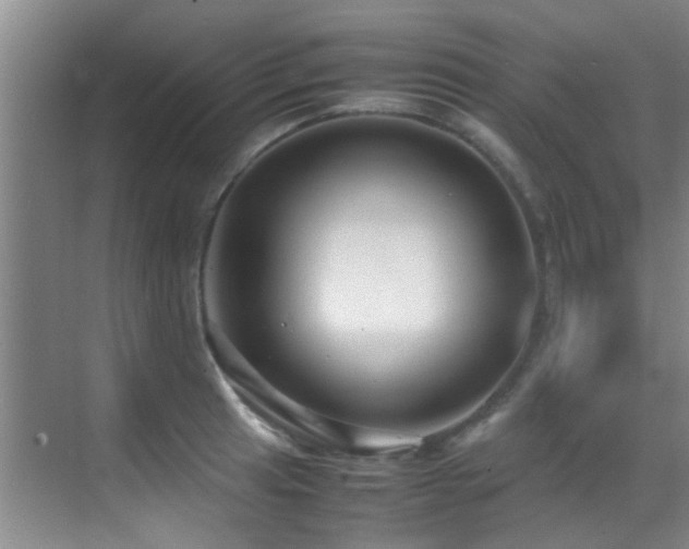 X0000070391041200606091146