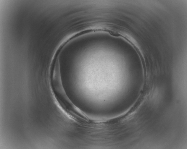 X0000070391045200606091146