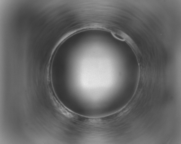 X0000070391052200606091146