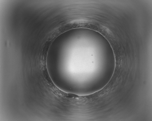 X0000070391062200606091145