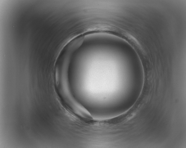 X0000070391081200606091145