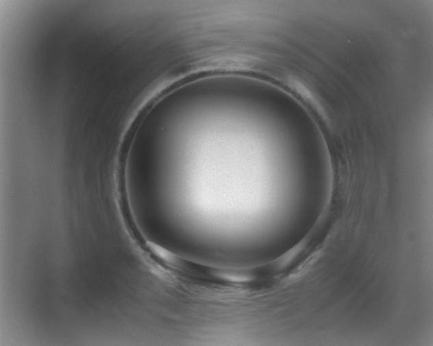 X0000070391085200606091145