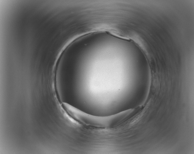 X0000070391102200606091145