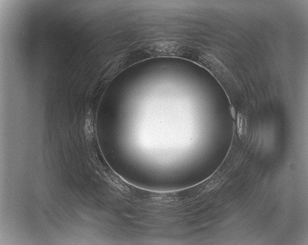 X0000070391107200606091144
