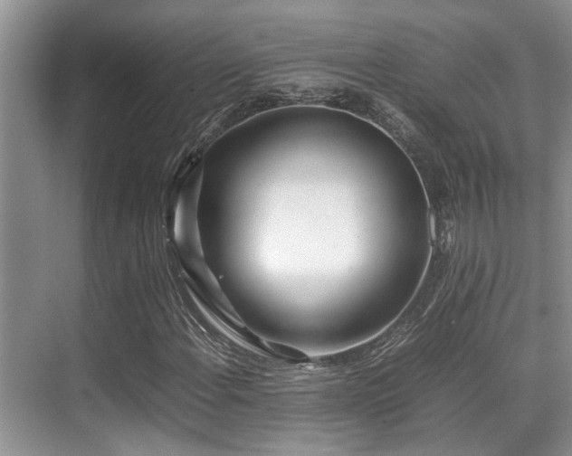 X0000070391108200606091144