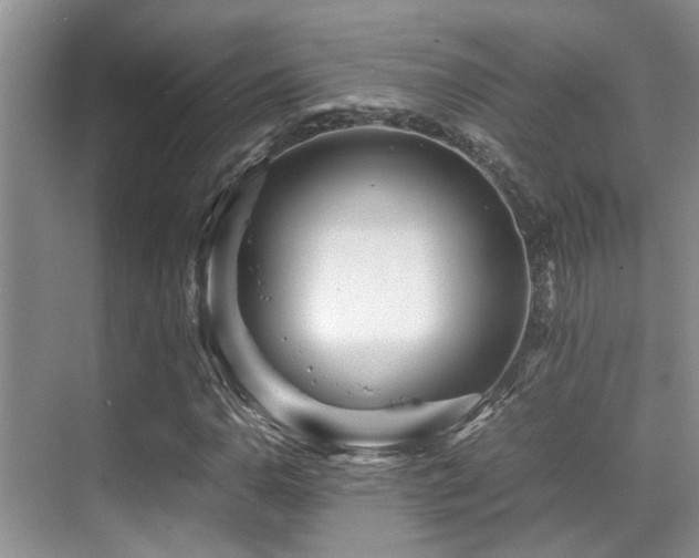 X0000070391110200606091144