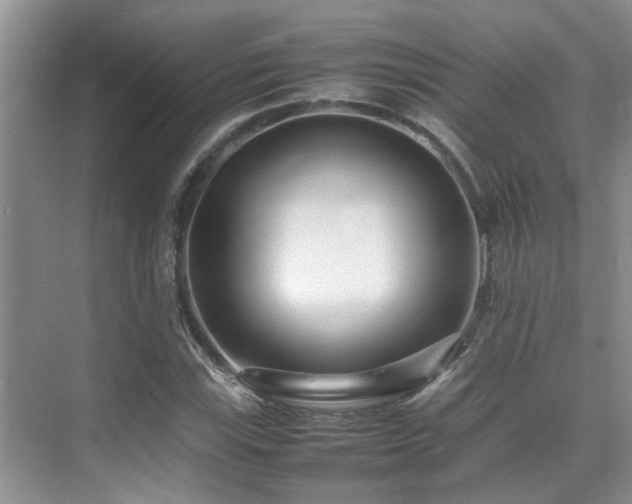 X0000070391115200606091144