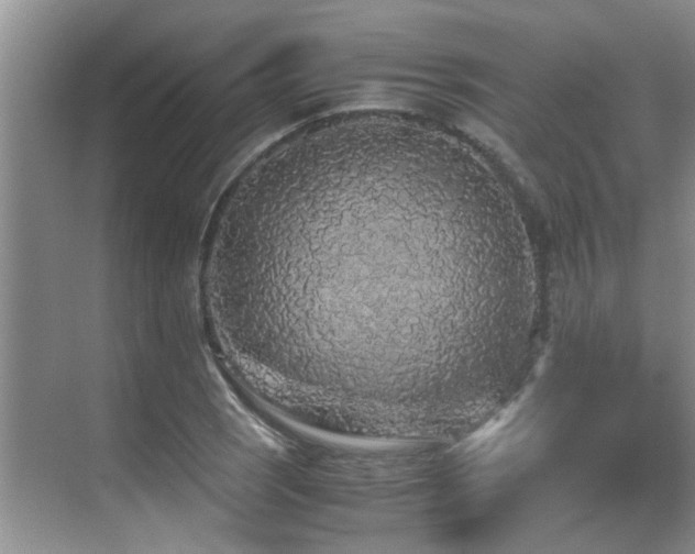 X0000070391121200606091144