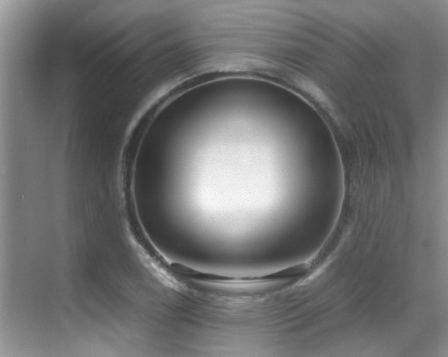 X0000070391122200606091144