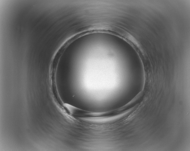 X0000070391124200606091144