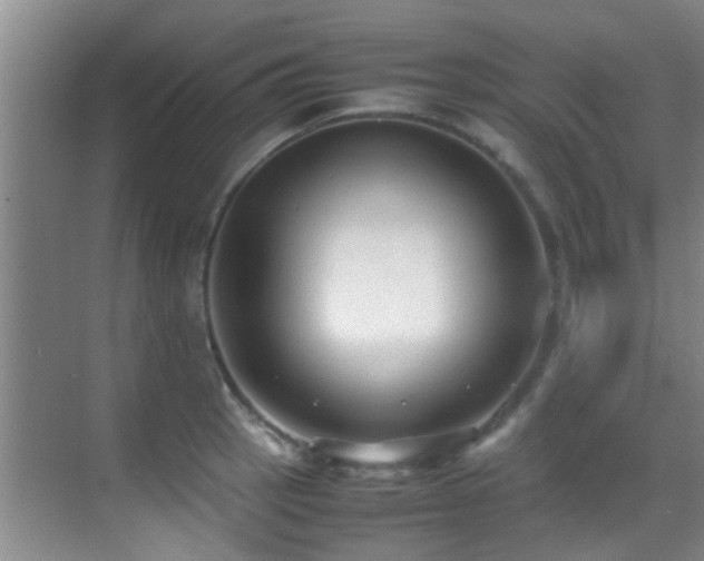 X0000070391137200606091144