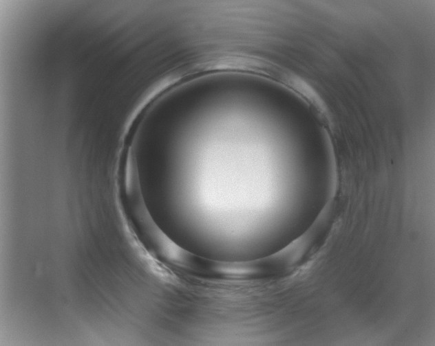 X0000070391138200606091144