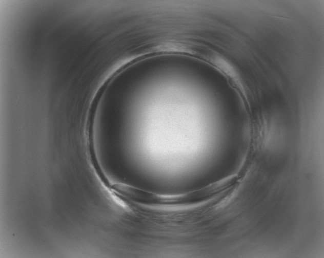 X0000070391141200606091144