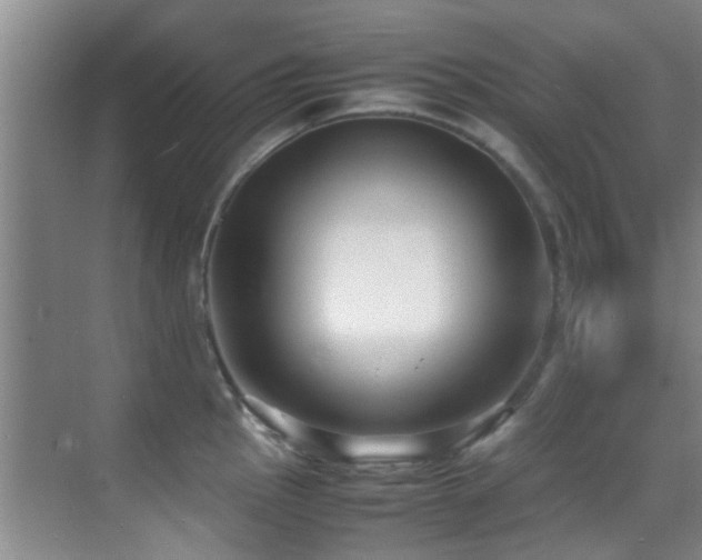 X0000070391145200606091144