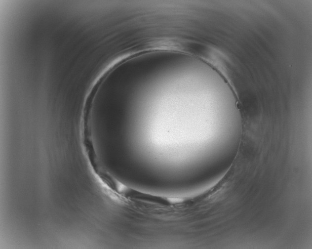 X0000070391147200606091145